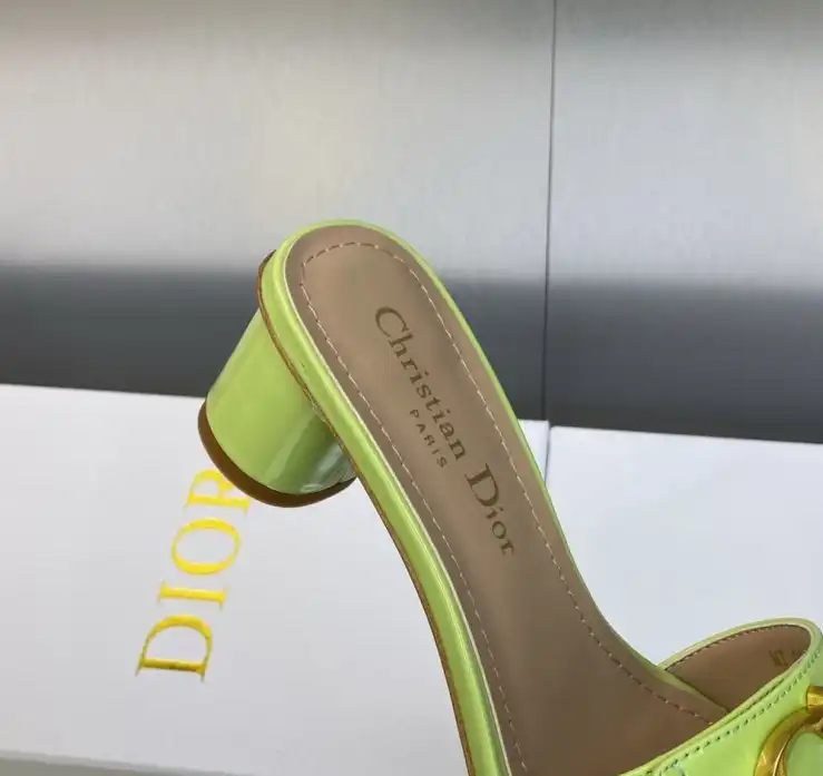 hype Christian Dior Slippers