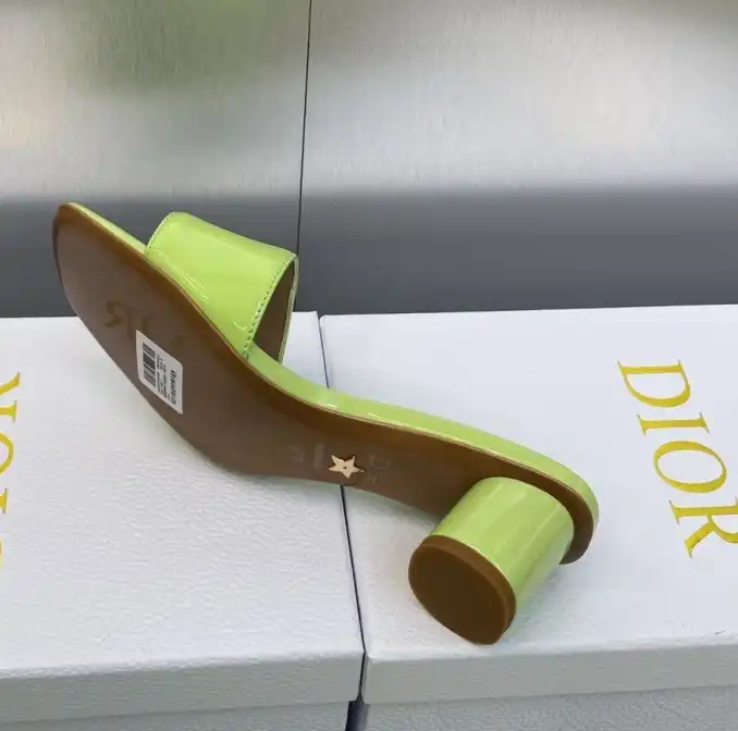 hype Christian Dior Slippers