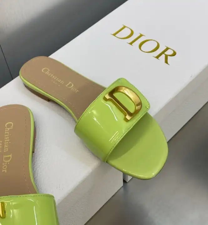 hype Christian Dior Slippers