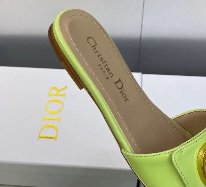 hype Christian Dior Slippers