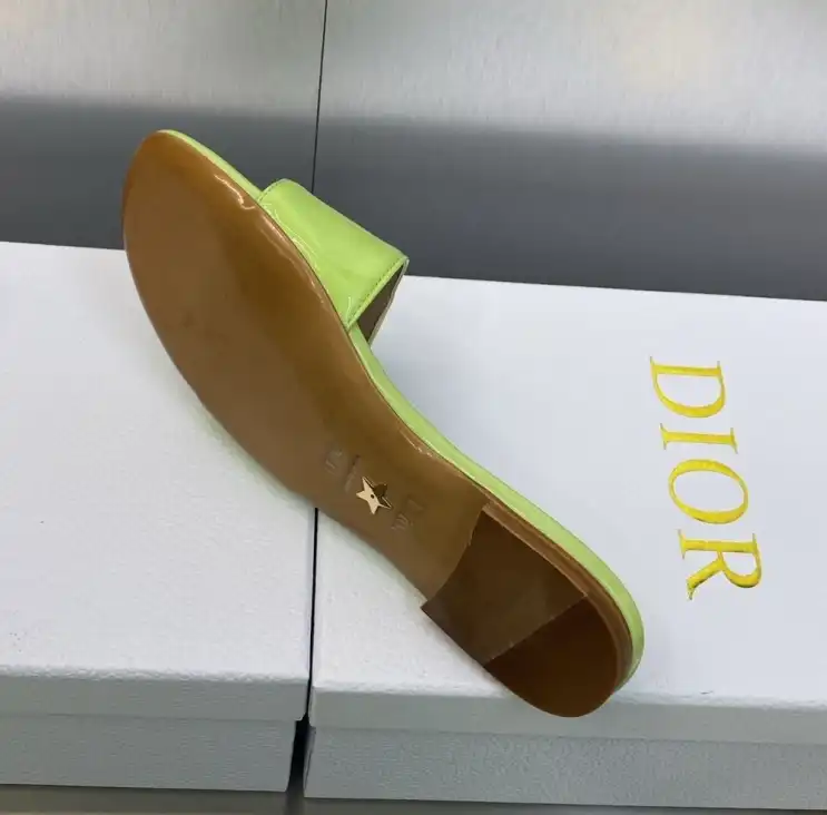 hype Christian Dior Slippers