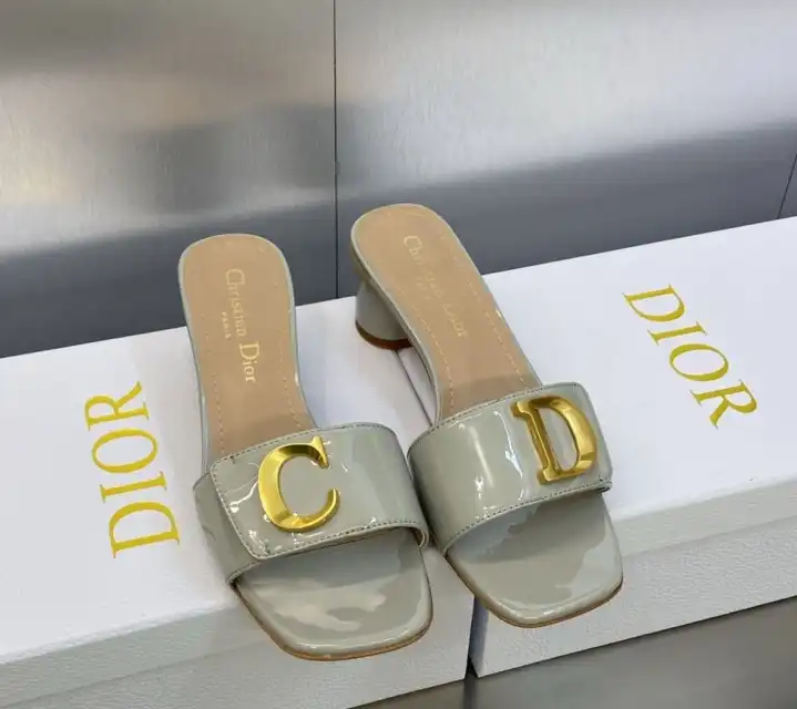 hype Christian Dior Slippers