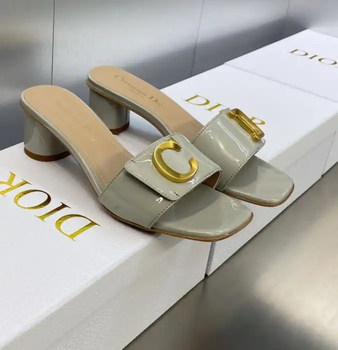 hype Christian Dior Slippers