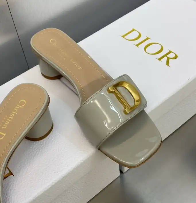 hype Christian Dior Slippers