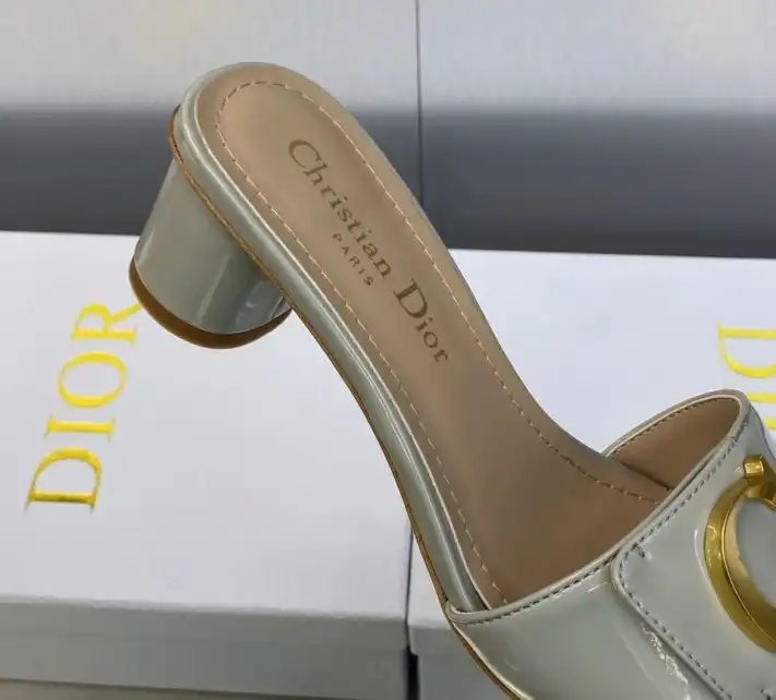 hype Christian Dior Slippers