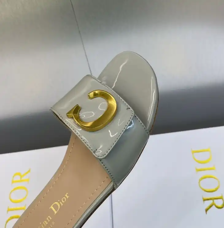 hype Christian Dior Slippers