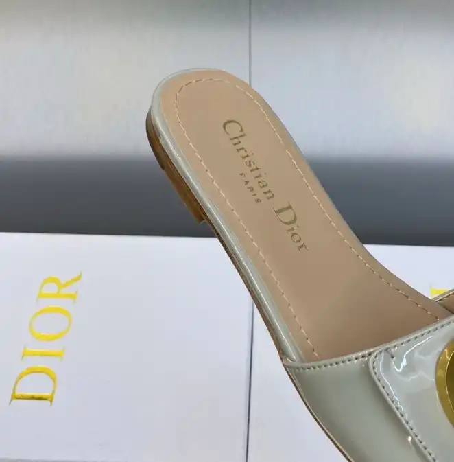 hype Christian Dior Slippers