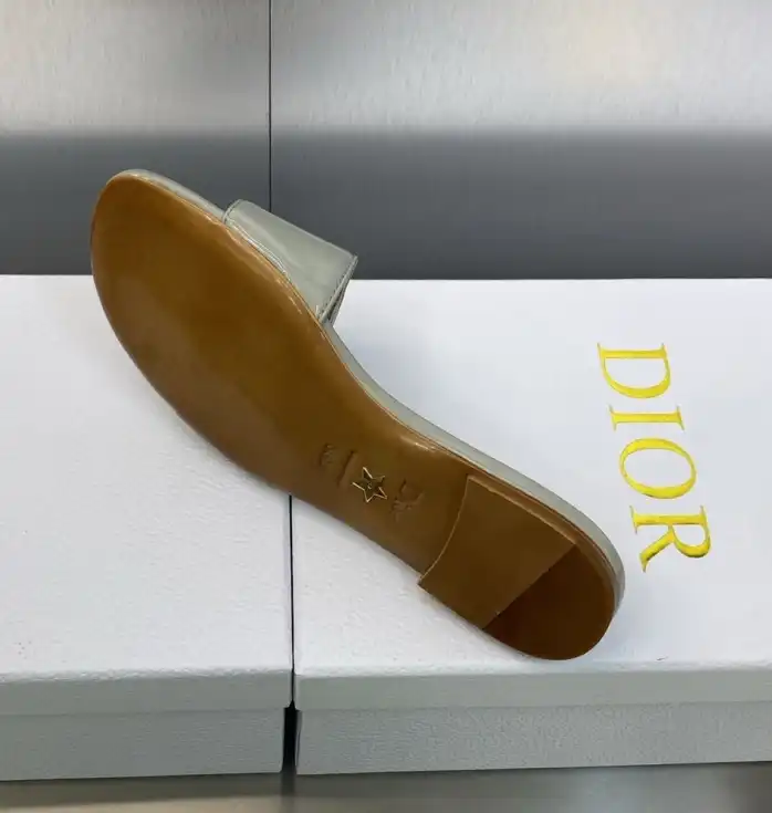 hype Christian Dior Slippers