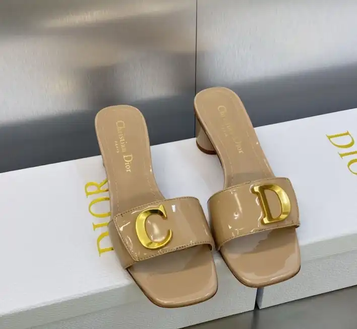 hype Christian Dior Slippers