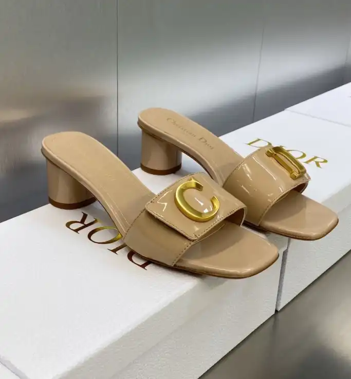 hype Christian Dior Slippers