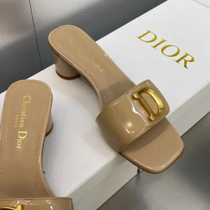 hype Christian Dior Slippers