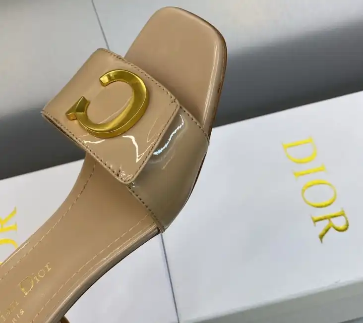 hype Christian Dior Slippers