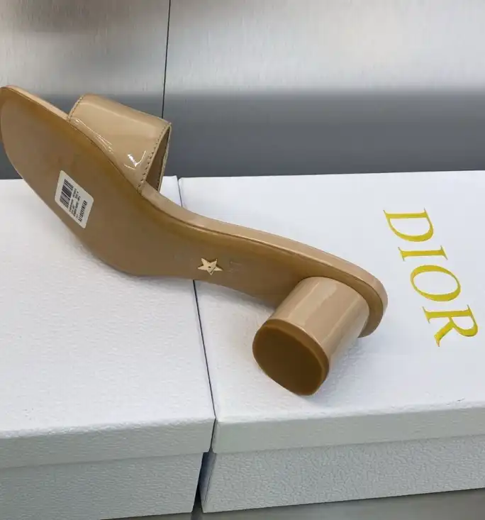 hype Christian Dior Slippers