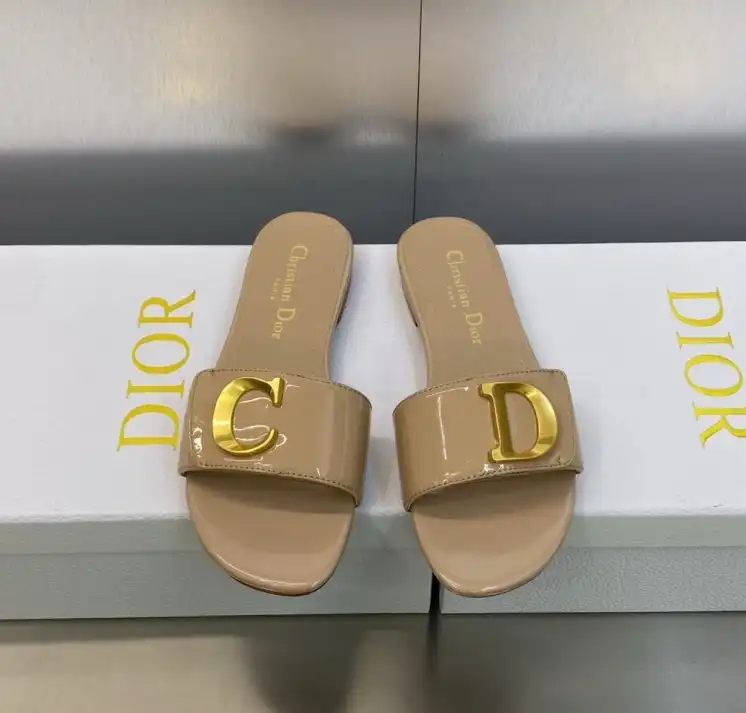 hype Christian Dior Slippers