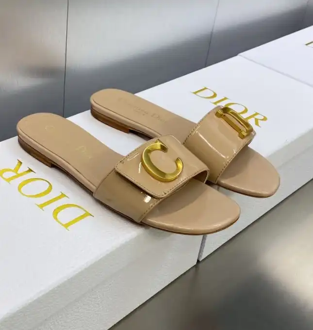 hype Christian Dior Slippers