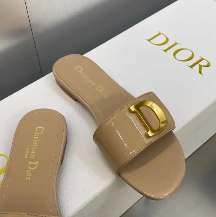 hype Christian Dior Slippers