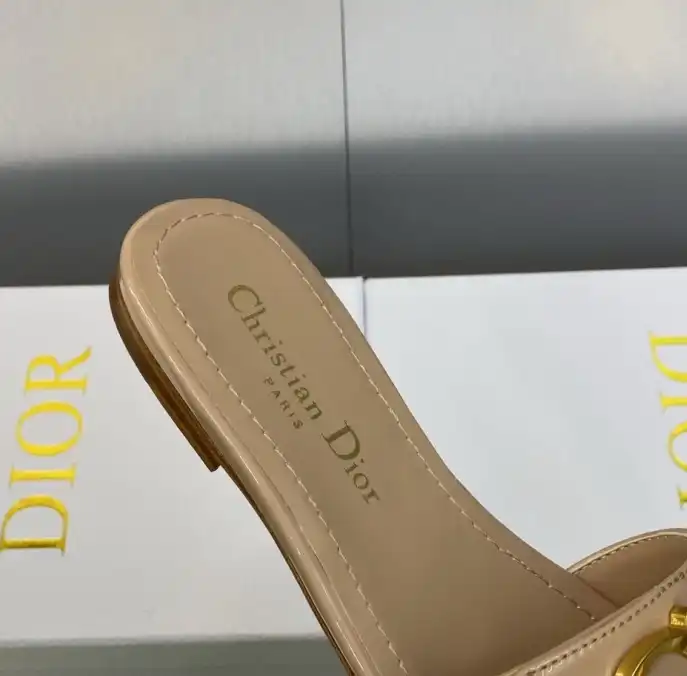 hype Christian Dior Slippers