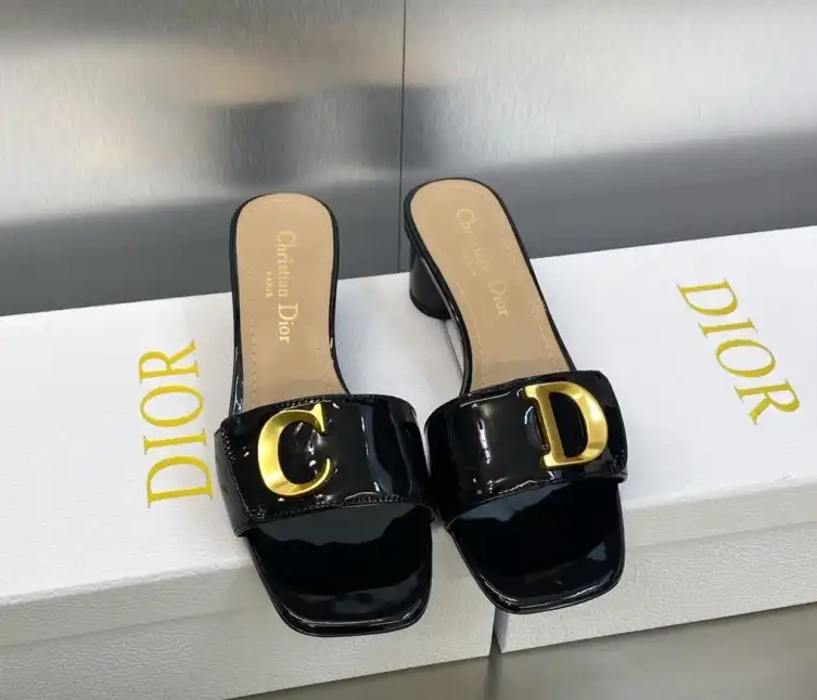 hype Christian Dior Slippers