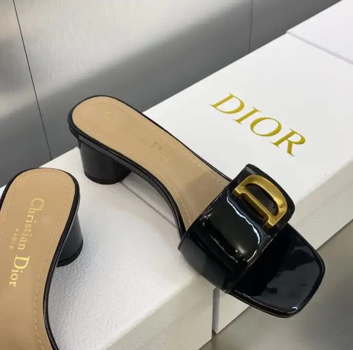 hype Christian Dior Slippers