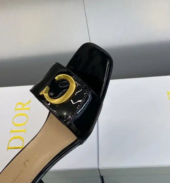 hype Christian Dior Slippers