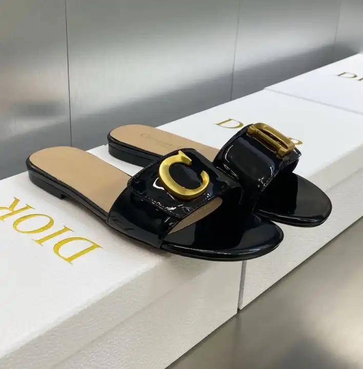 hype Christian Dior Slippers