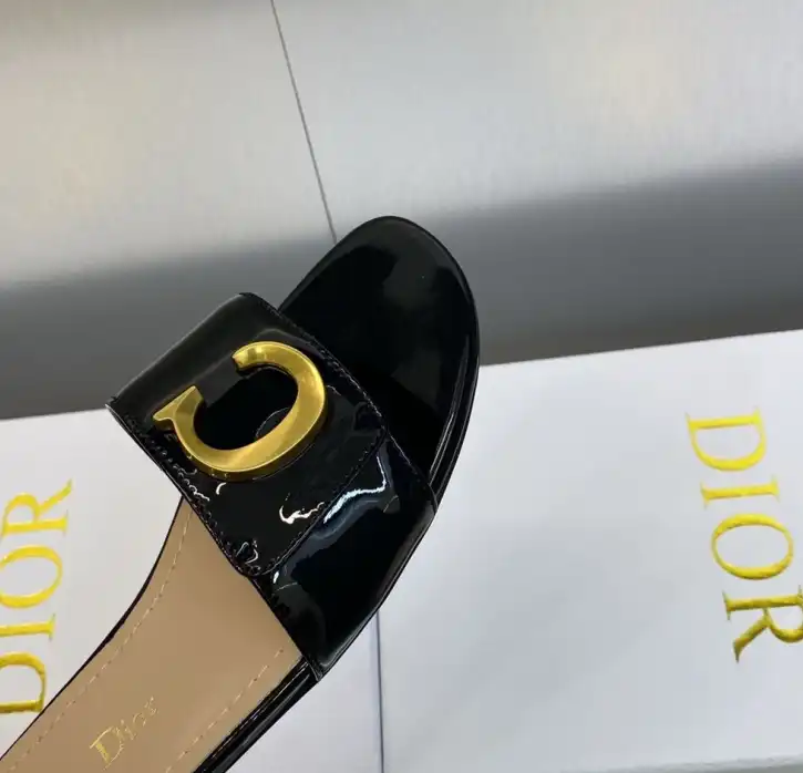 hype Christian Dior Slippers