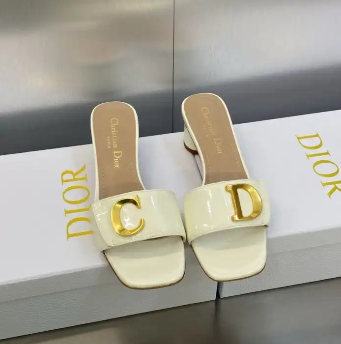 hype Christian Dior Slippers