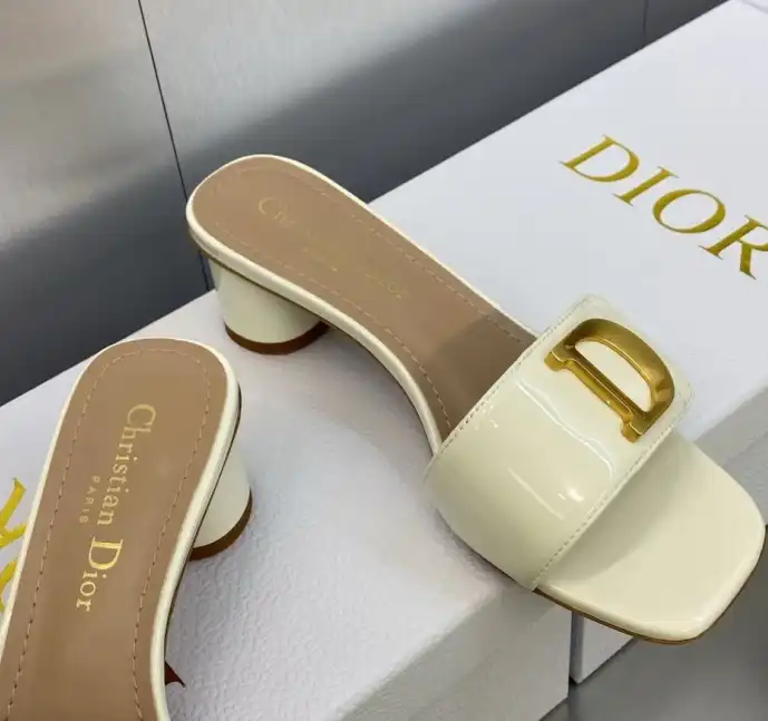 hype Christian Dior Slippers