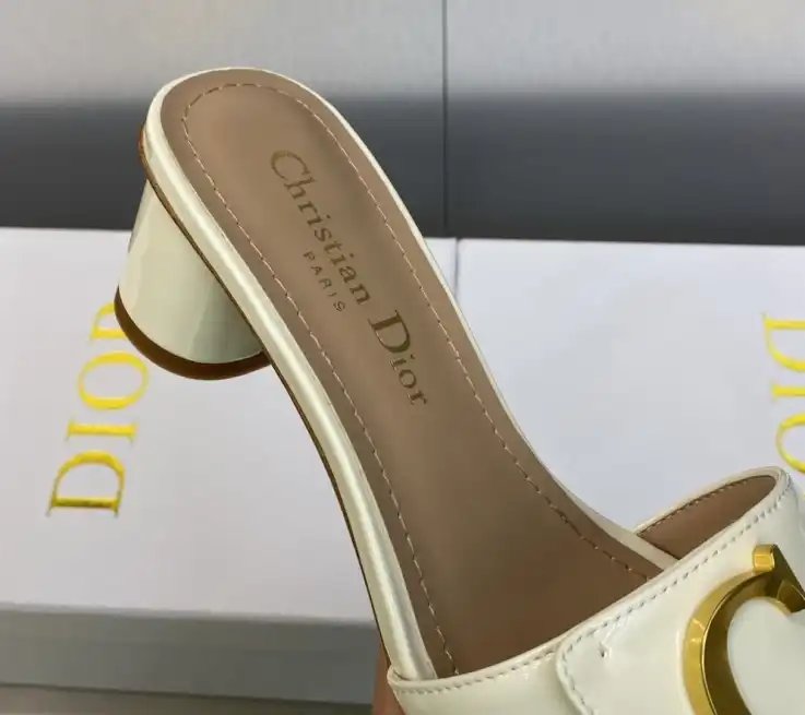 hype Christian Dior Slippers