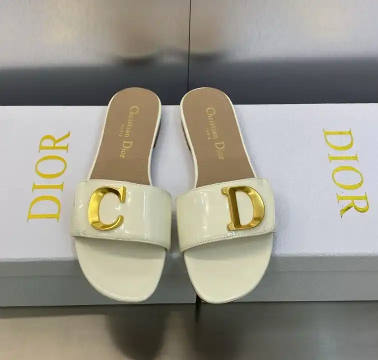 hype Christian Dior Slippers