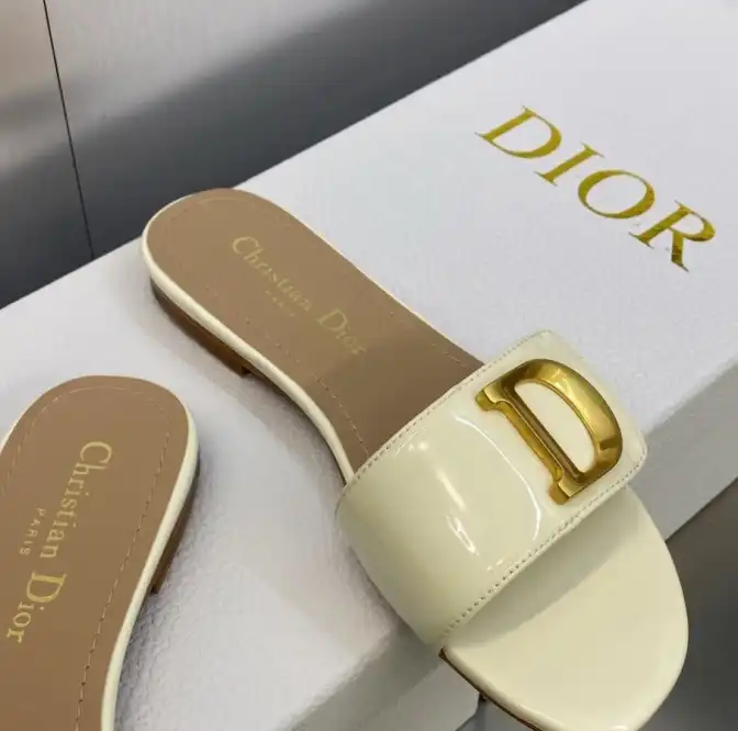 hype Christian Dior Slippers