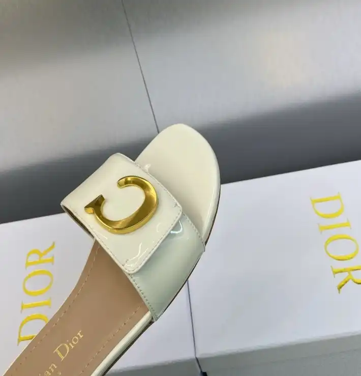 hype Christian Dior Slippers