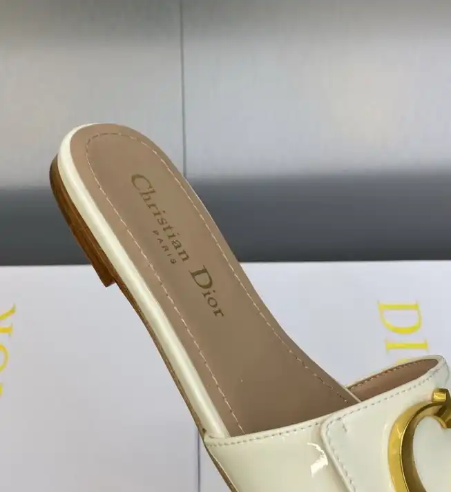 hype Christian Dior Slippers