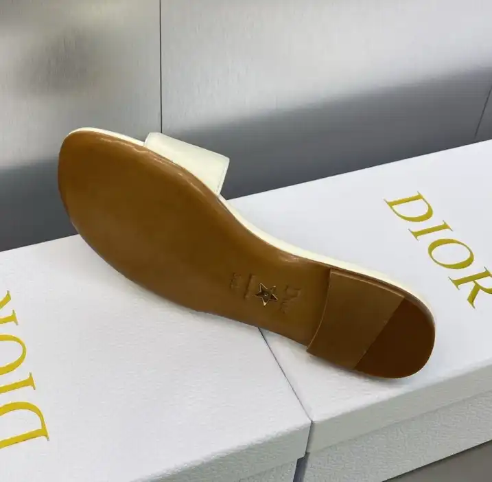 hype Christian Dior Slippers