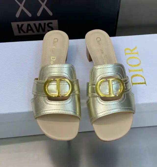 hype Christian Dior Slippers