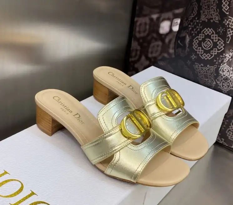 hype Christian Dior Slippers