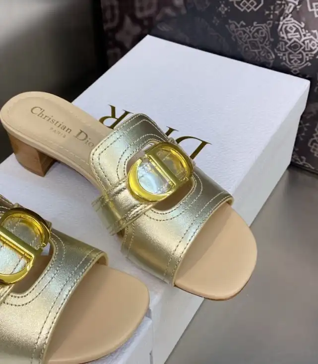 hype Christian Dior Slippers