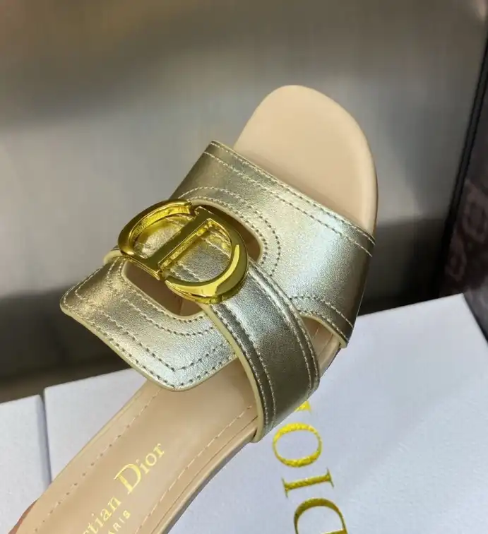 hype Christian Dior Slippers