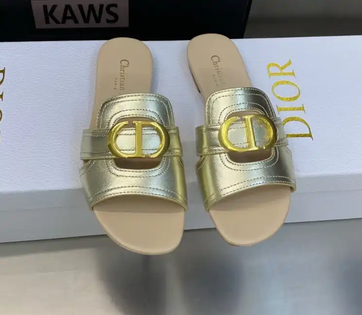 hype Christian Dior Slippers