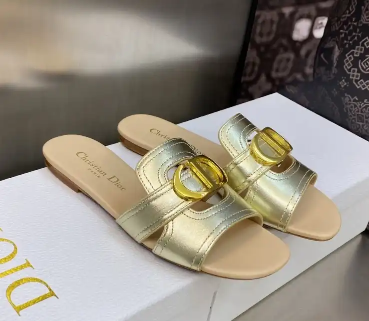 hype Christian Dior Slippers