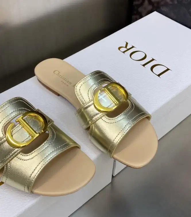 hype Christian Dior Slippers