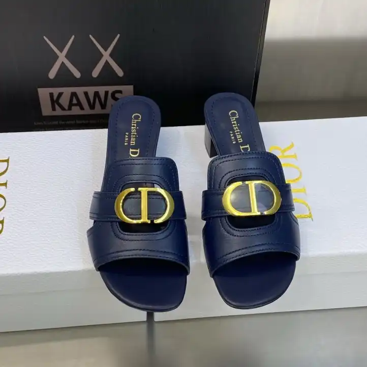 hype Christian Dior Slippers