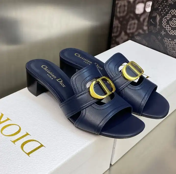 hype Christian Dior Slippers