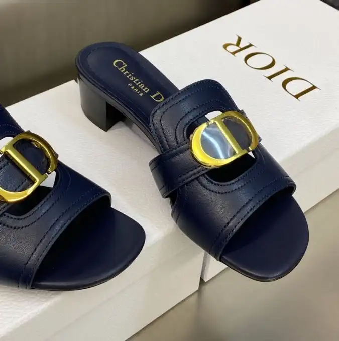 hype Christian Dior Slippers