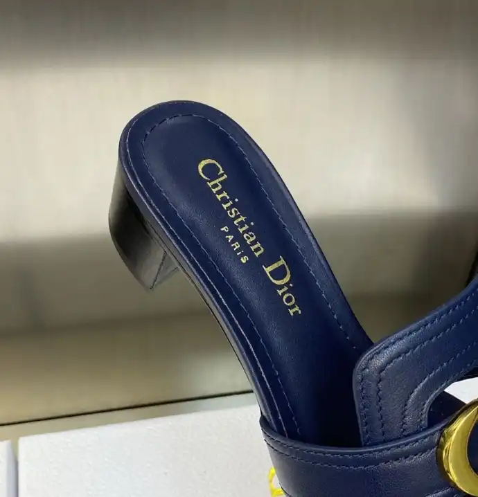 hype Christian Dior Slippers