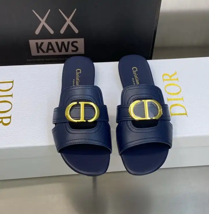 hype Christian Dior Slippers