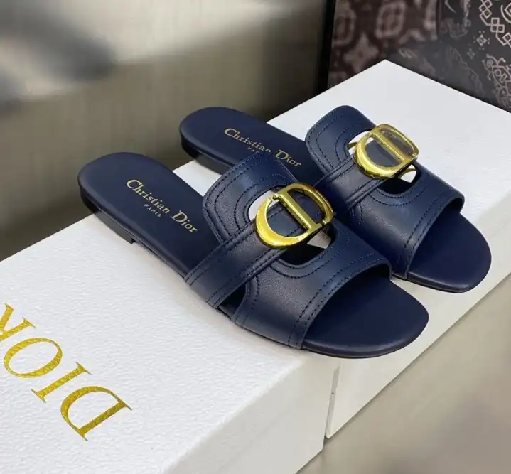 hype Christian Dior Slippers