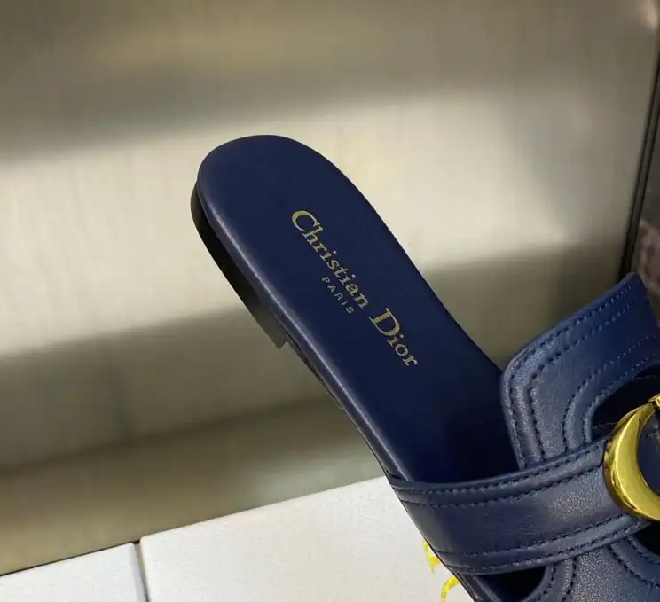 hype Christian Dior Slippers