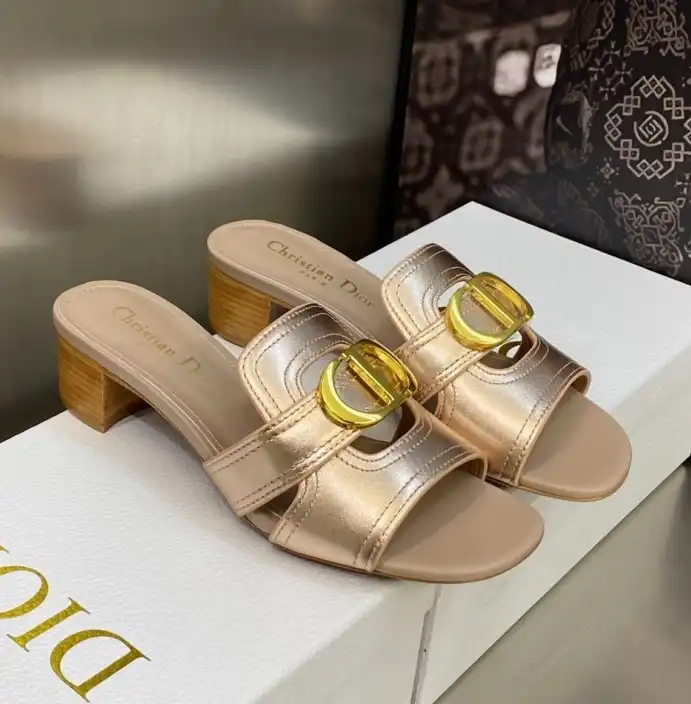 hype Christian Dior Slippers