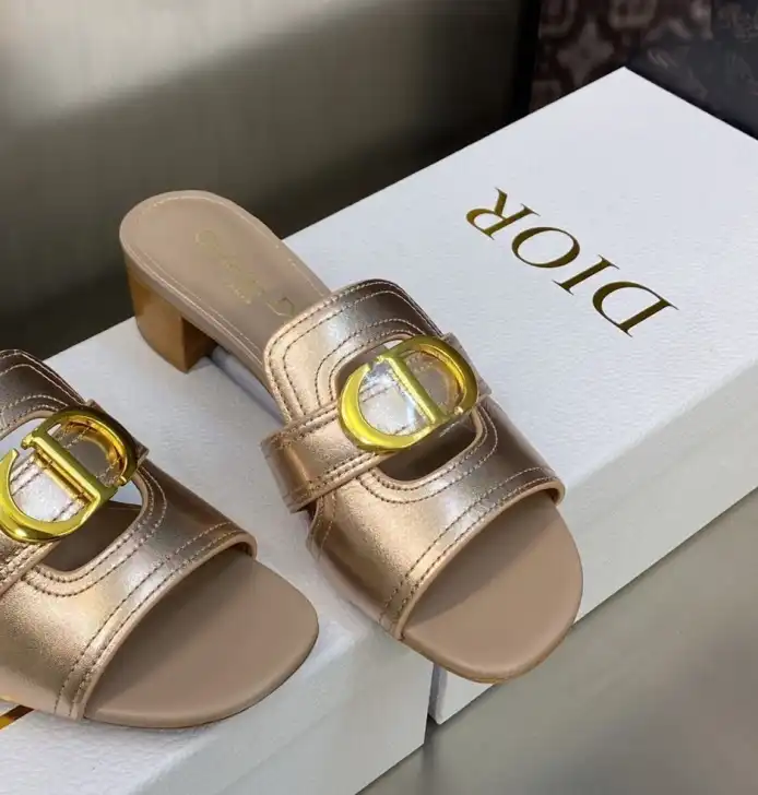 hype Christian Dior Slippers